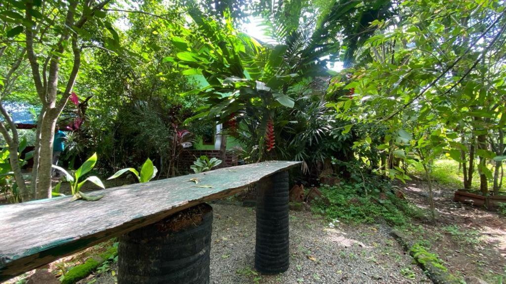 Forest Villa Nature Resort Anuradhapura Εξωτερικό φωτογραφία