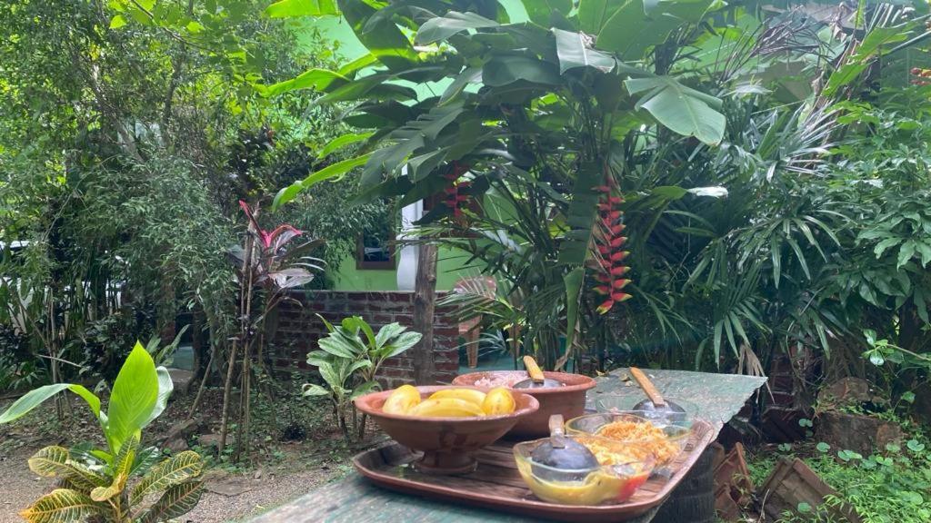 Forest Villa Nature Resort Anuradhapura Εξωτερικό φωτογραφία